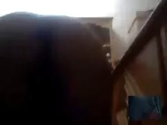 کارتون شبکه ی سکسی د ...