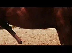 مادر ماهواره سکسی و  ...